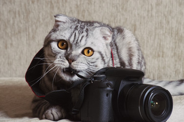 Similar image 12349233