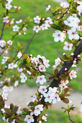 Similar image 12349224