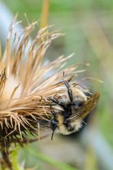 Similar image 12349930