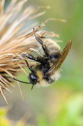 Similar image 12349931