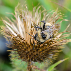 Similar image 12349932