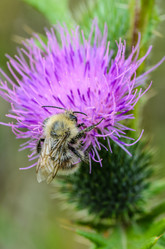 Similar image 12349933