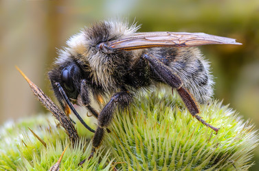 Similar image 12349949