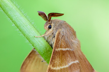 Similar image 12349953