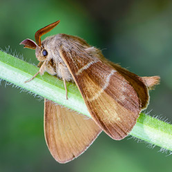 Similar image 12349954