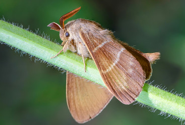 Similar image 12349955