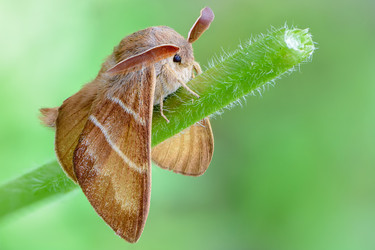 Similar image 12349958