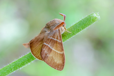 Similar image 12349959