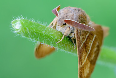 Similar image 12349960