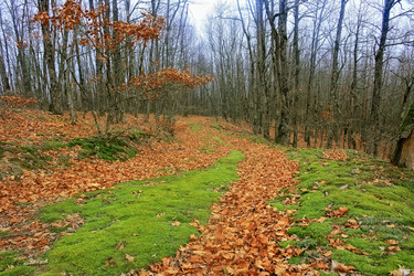 Similar image 12349225