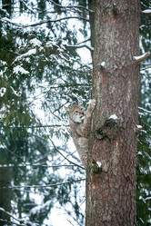 Similar image 12349776