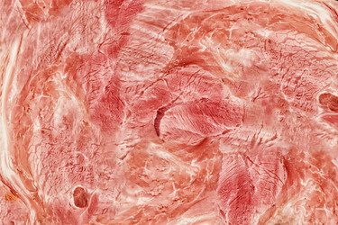 Similar image 12349761