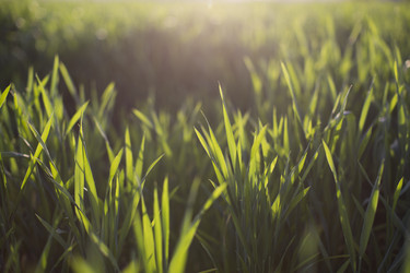 Similar image 12351371