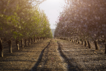 Similar image 12351372