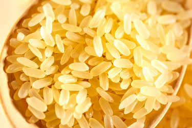 Similar image 12351060