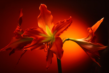 Similar image 12351177