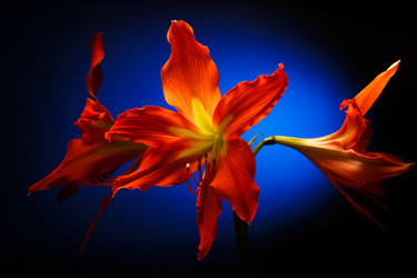 Similar image 12351187