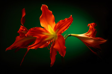 Similar image 12351188