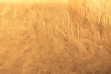 Similar image 12351431