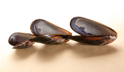 Similar image 12351080