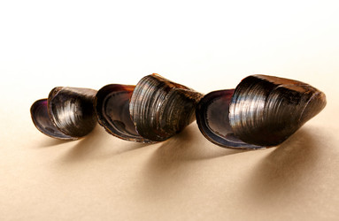 Similar image 12351081