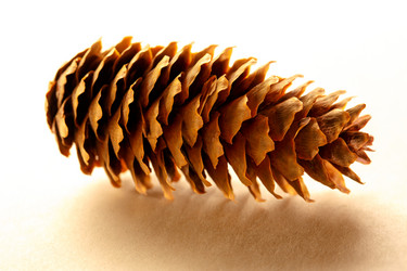 Similar image 12351083