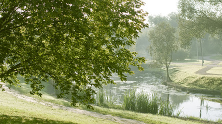 Similar image 12350230