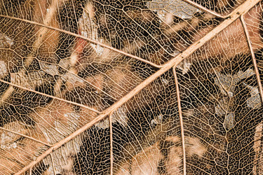 Similar image 12503660