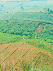 Similar image 12503673