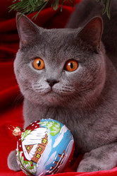 Similar image 12595487