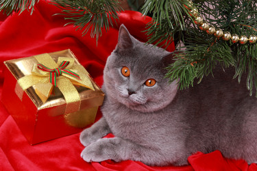 Similar image 12595572