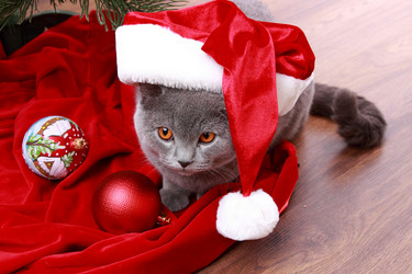 Similar image 12595620