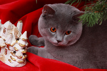 Similar image 12595622