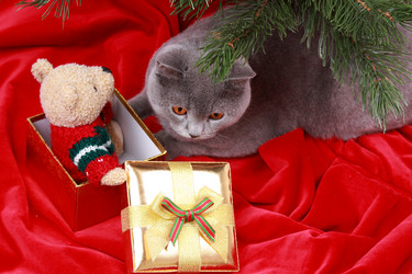 Similar image 12595624