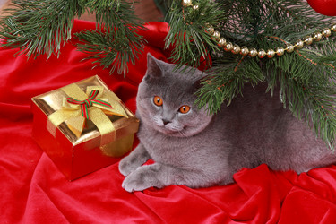 Similar image 12595629