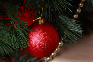 Similar image 12595661