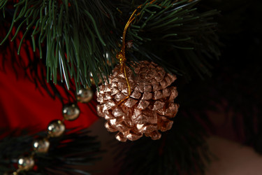 Similar image 12595676