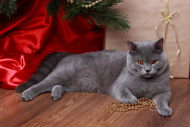 Similar image 12595679