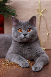 Similar image 12595700