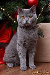 Similar image 12595720