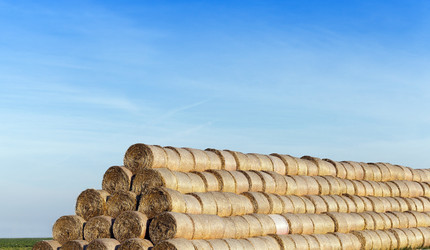 Similar image 12581882