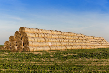 Similar image 12581923