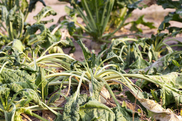 Similar image 12592889