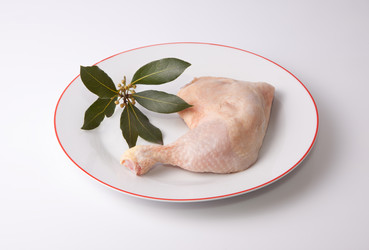 Similar image 12627759