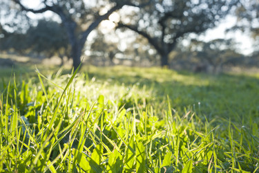 Similar image 12601350