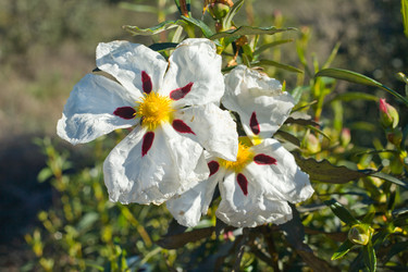 Similar image 12619951