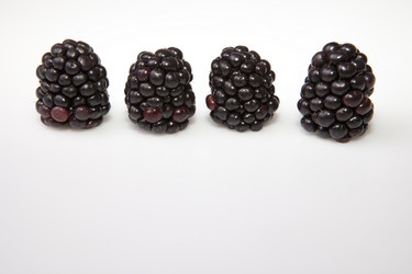 Similar image 12624625