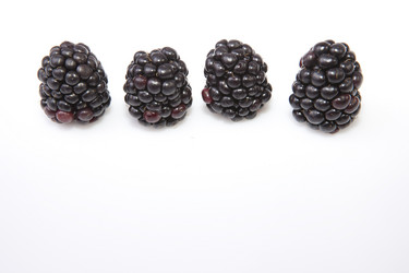 Similar image 12626077