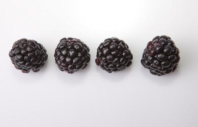 Similar image 12627775