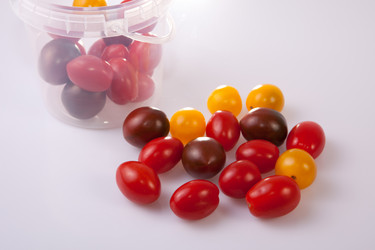 Similar image 12655462